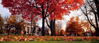 50 Most Beautiful Colleges In The Fall Best College Values Bates College College Fun Leaves Changing Color