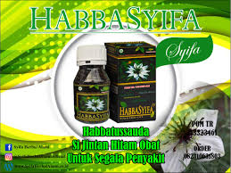 Habbatussauda Kapsul Nigella Pengawetan Tanaman Asli