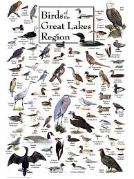 True south puzzle great lakes. Great Lakes Puzzle Collection Jigsaw Puzzles