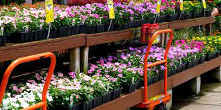 Check spelling or type a new query. The Best The Home Depot Shopping Hack Revealed The Home Depot Plant Return Policy