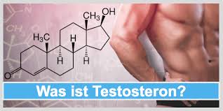 U mužů ovlivňuje spermatogenezi a vývoj sekundárních pohlavních znaků.patrný je jeho vliv především v pubertě, kdy dochází k. Testosteron Alles Was Sie Uber Das Hormon Des Mannes Wissen Mussen