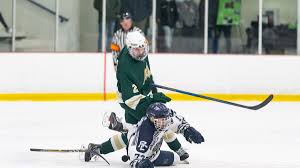 Saturday's boys hockey results: LBH powers Century past Mayo