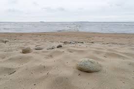 Morze wattowe (waddenzee) ciągnie się na długości 450 km od wyspy texel w holandii po fanø w danii. Holandia Makabryczne Znalezisko Na Plazy Wydarzenia W Interia Pl