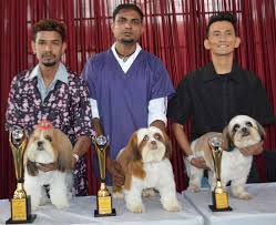 Hyderabad is a pet lover's paradise, especially dogs, apart from being the city of pearls and a happening place for biryani! Petex India Pet Animal Kingdom In The Country Kicks Off In Hyd