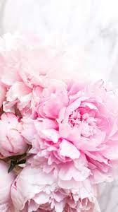 We did not find results for: Peony Iphone Wallpapers Top Free Peony Iphone Backgrounds Wallpaperaccess
