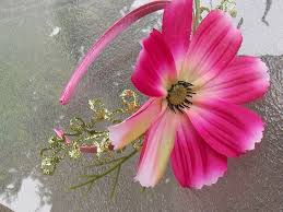 Pink Cosmo Flower Headband With Green Leaves Cosmos Flower Etsy Pink Flower Headband Fairy Headpiece Pink Flowers