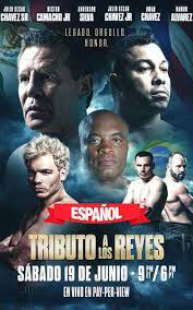 Full fight video highlights last night (sat., june 19 2021) live on fite.tv watch mma legend and ufc hall of famer, anderson the spider silva, compete in his first major boxing match against former wbc middleweight champion, julio cesar. Tribute To The Kings Julio Cesar Chavez Jr Vs Anderson Silva En Espanol Official Ppv Replay Fite