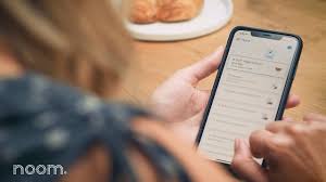 Some of the technologies we use are necessary for critical functions like security and site integrity, account authentication, security and privacy preferences, internal site usage and maintenance data, and to make the site work correctly for browsing and transactions. My Bonafide Noom Diet Plan Review 2021 Fit Healthy Momma