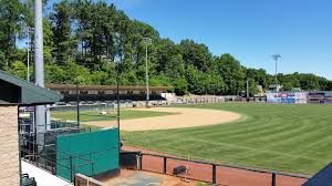 calfee park pulaski yankees pulaski va party venue