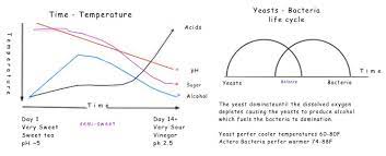 Time And Temperature