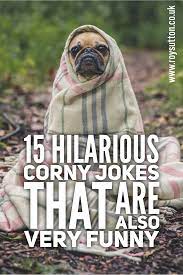 These are clean jokes that will appeal to both the old and young, as well as the kids. 15 Hilarious Corny Jokes Guaranteed To Make You Smile Corny Jokes Witty Jokes Funny Corny Jokes