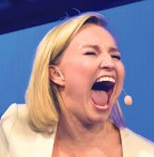 Kristdemokraternas leder ebba busch thor er akkurat slik en partileder skal være for å vinne frem: Vad Menar Busch Thor Pepprat Rodgront