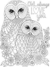 How much do you know about owls? Botanicals 27 Giclee Print By Kcdoodleart Art Com Owl Coloring Pages Bird Coloring Pages Detailed Coloring Pages