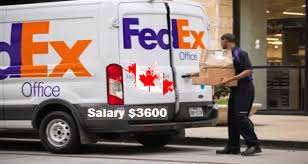 Jobs At Feedex Canada Need Drivers Driver Job Job Canada