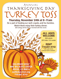 Maybe you would like to learn more about one of these? Thanksgiving Day Turkey Toss Colorado Wolf Wildlife Center At Colorado Wolf Wildlife Center Divide Co Family Fun