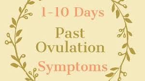 Yellow discharge after ovulation if pregnant. Discharge After Ovulation If Pregnant