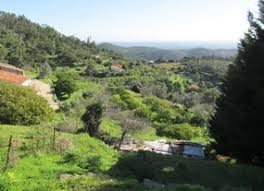 Check spelling or type a new query. Wandern Nach Caldas De Monchique Algarve Blog