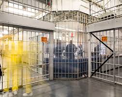 This Is My Jail The New Yorker