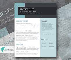 Gain the interest the interest of the recruiters, get to know the company and the job you are applying for and tailor your applications by creating different versions of your cv. Free One Page Resume Templates Free Download