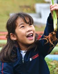 cultura&informação a revista do sabin