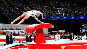 Vault tables, vault boards, vault runways, vault safety zones, vault trampolines,vault anchor mats, vault board springs, mount trainer, round off pads, level 4 mats and virtually any vault equipment and accessories needed. Vault Gymnastics Vaulting Gymnastics Gym Choices