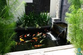 Namun tidak banyak orang yang berpikir bahwa rumah minimalis dapat menjadi rumah idaman sebagai tempat huni bagi anda sekeluarga. 9 Inspirasi Desain Kolam Koi Minimalis Yang Bisa Kamu Coba