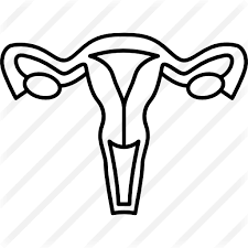 Uterus Free Medical Icons Easy way to learn like comment subscribe about my channel channel name: flaticon