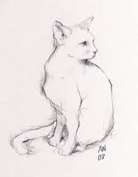 sitting cat original sketch animal sketches cat sitting animal drawings sketches