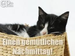 Halli, hallo, hallöchen.wünsche dir ein schönen nachmittag mit kaffee und kuchen. Coolphotos De Grusskarten Tageszeiten Schonen Nachmittag