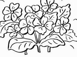 Ausmalbilder Blumen Blumen Vorlagen Zum Ausschneiden Youtube