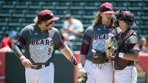 The term triple crown generally refers to the batting achievement of leading a league in batting average, home runs, and runs batted in (rbi) over the same season. Jake Burger Baseball Missouri State