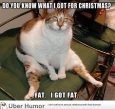 Daily Afternoon Chaos 25 Pictures Funny Pictures Quotes Pics Photos Love