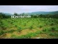Bio tree biotechnology is a biotechnology company that specializes in food supplement creation business. Bio Tree Biotechnology Sdn Bhd International Fairs Directory Health Wellbeing Spa Leisure Foodstuffs Luxury Food Beverage Industry Food Processing Industry