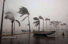 We did not find results for: Cancun Cuenta Con 67 Refugios Temporales Para Temporada De Huracanes 2020 Quinta Fuerza