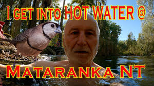 I get into Hot Water in Mataranka!!! #outback #exploring #northernterritory  #birding
