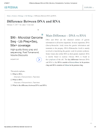 Pdf Difference Between Dna And Rna