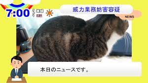 aviutlでニュース風動画を作ってみたので作り方を紹介します exo配布有り ニュース ニュース テロップ ふきだし 素材