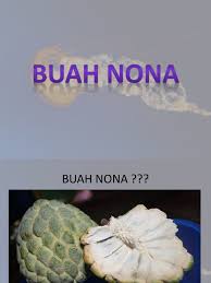 Cara stek buah nona agar cepat tumbuh akar bagi pemula. Khasiat Buah Nona