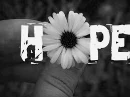 Black And White Flower Facebook Cover Photos Pin By Kimberly B On D E L I C I O U S D A I S Y Cover Pics Cover Photos Facebook Cover