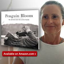 Penguin bloom full movie free download, streaming. Penguin Bloom Vs The True Story Of Sam Bloom And Penguin The Magpie