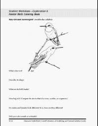 40 top bird coloring pages. Bird Coloring Pages Free Printable Realistic