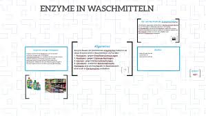 The invention relates to proteases having an amino acid sequence with at least 70% sequence identity to the amino acid sequence given in seq id no. Enzyme In Waschmitteln By Moritz Starck
