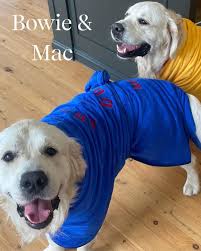 Let's welcome our new members! Waters Jesse Ryan, Natasha Namikaze, Olivia  Grass, Derald Rowland, Bai Ann