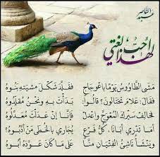 ﮼ابو،اصيل،الاصيل، ⓜ️ ретвитнул(а) hr.nsreen alandijani. Ø´Ø¹Ø± Ø¹Ù† Ø§Ù„Ø§ØµÙŠÙ„