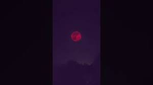 The infinite tsukuyomi is a genjutsu that traps the entire world in an illusion, enslaving them in a dream so that their chakra may be drawn upon. Infinite Tsukuyomi In Real Life Youtube