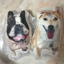 Printvenue.sg has created a peppy collection of customized cushions & pillows in singapore. Diy Customized Personalize Pet Animal Cushion Pillow Pet Supplies Homes Other Pet Accessories On Carousell