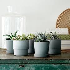We did not find results for: Nypon Cache Pot Interieur Exterieur Gris 9cm Magasinez Sur Fr Ikea Ca Ikea