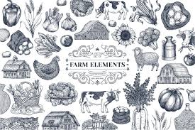 Life Is Better On The Farm Illustration Art Design Graphic Design Resources Print Design Template