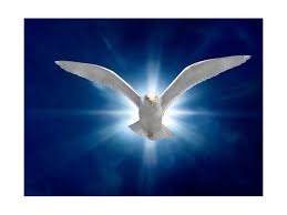Image result for abundant life in christ