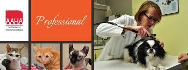 Welcome to vondra veterinary clinic! Lincoln Park Veterinary Hospital Animal Hospital In Lincoln Park Mi